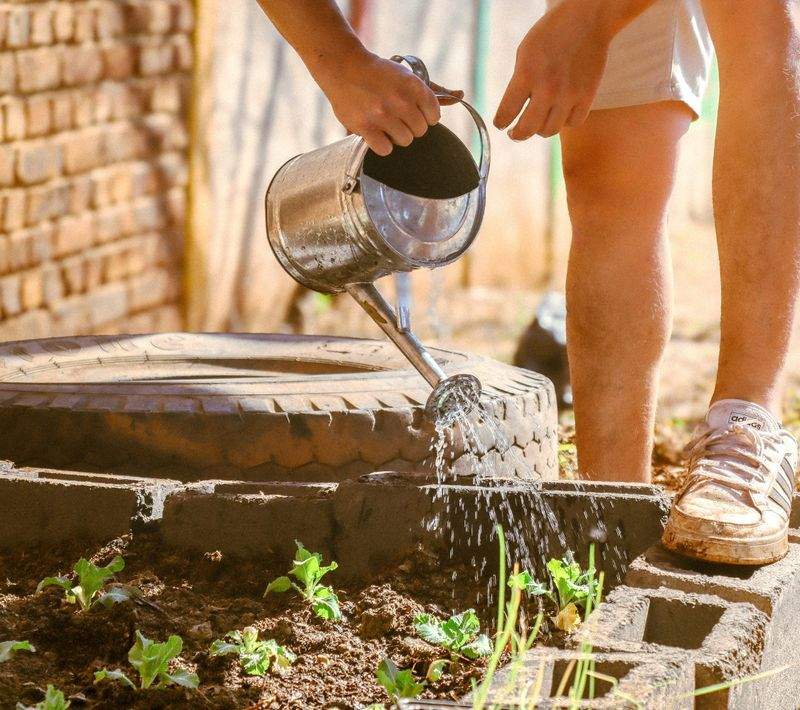 Bewässerungssysteme und Gartenbewässerung